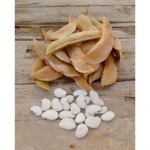Butter Beans garrofon 1500 gr valencian paella buy online