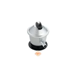 Gas Regulator