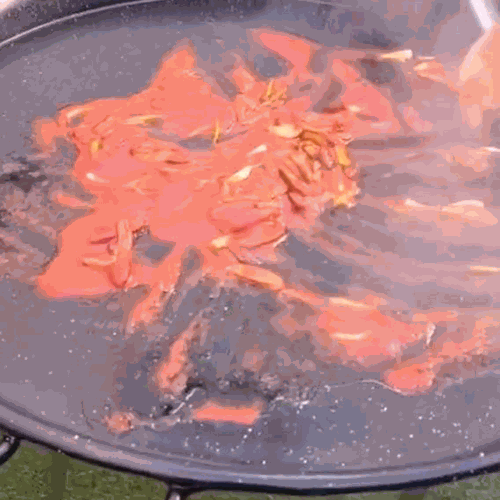 2.- Cut the octopus and fry it