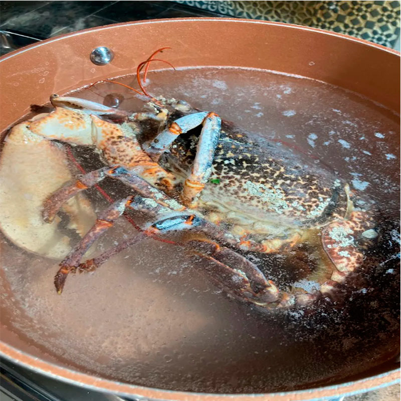 1.- Boil a lobster