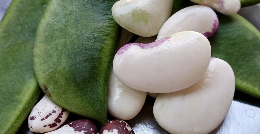 How to prepare valencian butter beans for paella