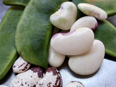 How to prepare valencian butter beans for paella