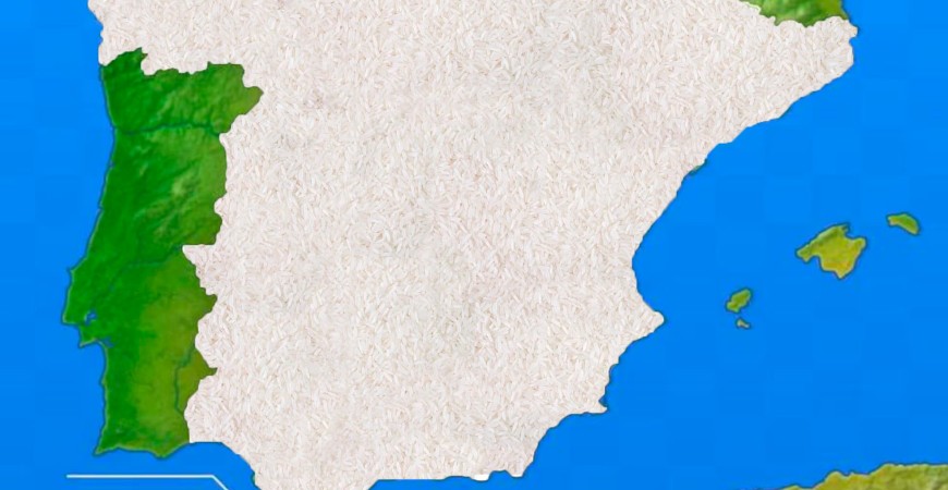 The Rice and Paella Route: Flavors of Spain, dish by dish