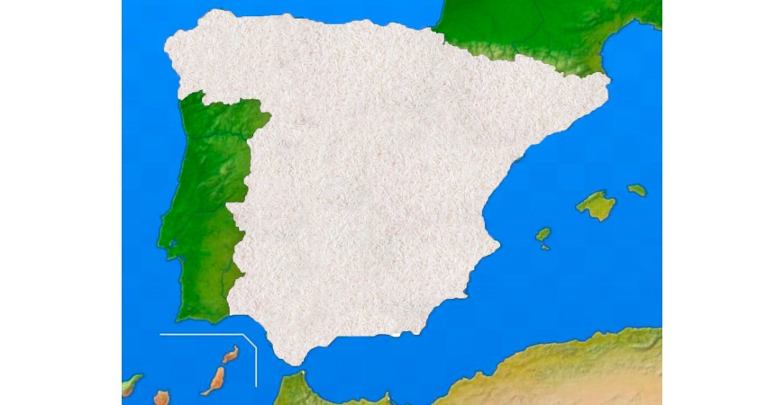 Rice Route of the Valencian Community