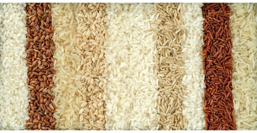 Best rice variety and brand for paella