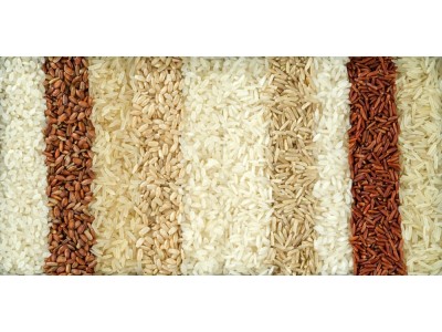 Best rice variety and brand for paella