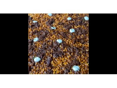  90 / 5.000 Recipe from @fanaticook: Thin-crusted rice with Iberian pork cheeks and cured cheese cream