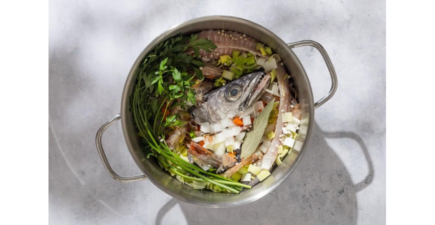 Which are the best fish for comics?