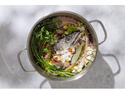 Which are the best fish for comics?