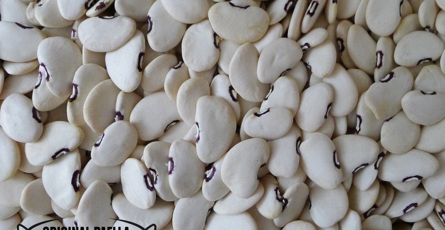 BUTTER BEANS- THE INDISPENSABLE INGREDIENT FOR VALENCIAN PAELLA